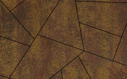 Плитка тротуарная Оригами 4Фсм.8 Листопад гранит Осень