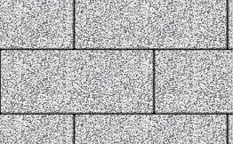 Плитка тротуарная Прямоугольник (Ла-Линия) Б.5.П.8 Стоунмикс бело-чёрный 600*300*80 мм