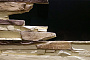 Декоративный элемент Redstone Скала SK-22/D, от 260*100 до 430*100 мм