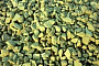 Крошка из песчаника серо-зеленого, галтованная, 10-20 мм