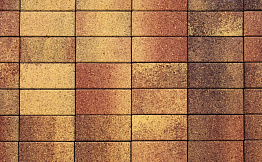 Плитка тротуарная Прямоугольник (Ла-Линия) Б.2.П.8 Листопад гранит Осень 200*100*80 мм