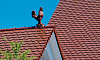 Керамические фигурки CREATON Петух (Firstgokel)  высота 45 см цвет коричневый, матовый ангоб