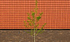 Кирпич облицовочный Terca Linnaeus Quercus, 288*88*48 мм